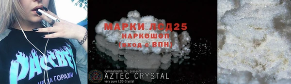 стаф Нея
