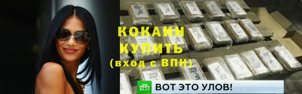 шишки Нефтегорск