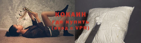 стаф Нея