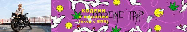 стаф Нея