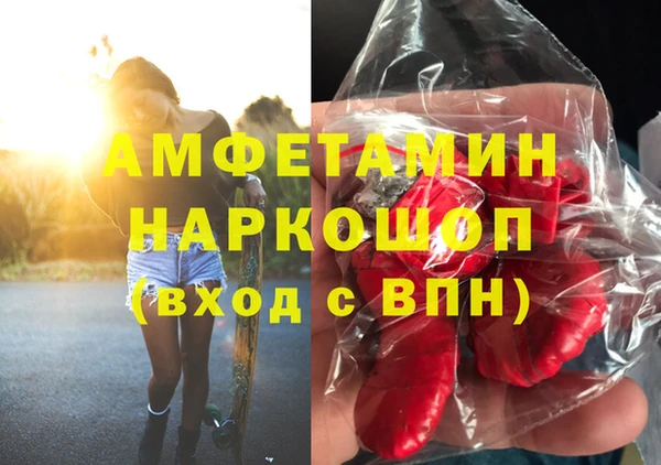 стаф Нея