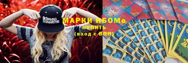 стаф Нея