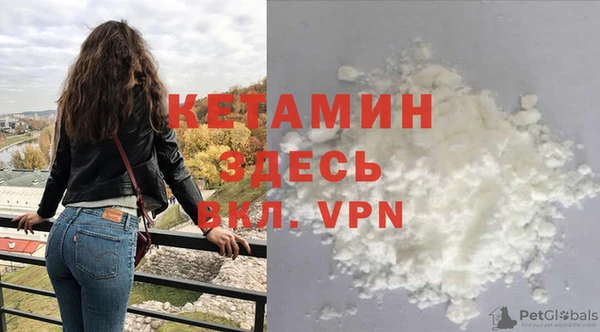 стаф Нея