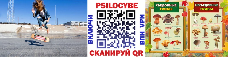 Псилоцибиновые грибы MAGIC MUSHROOMS  Купить закладки  Серафимович 