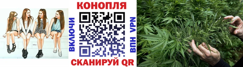 Купить где  Серафимович  Конопля LSD WEED 